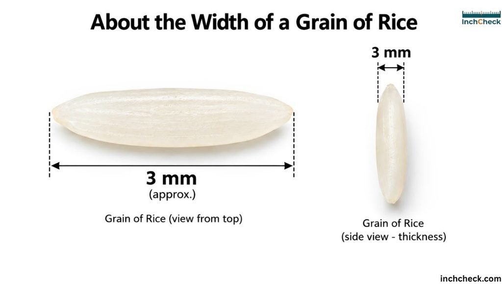 Grain of Rice Thickness