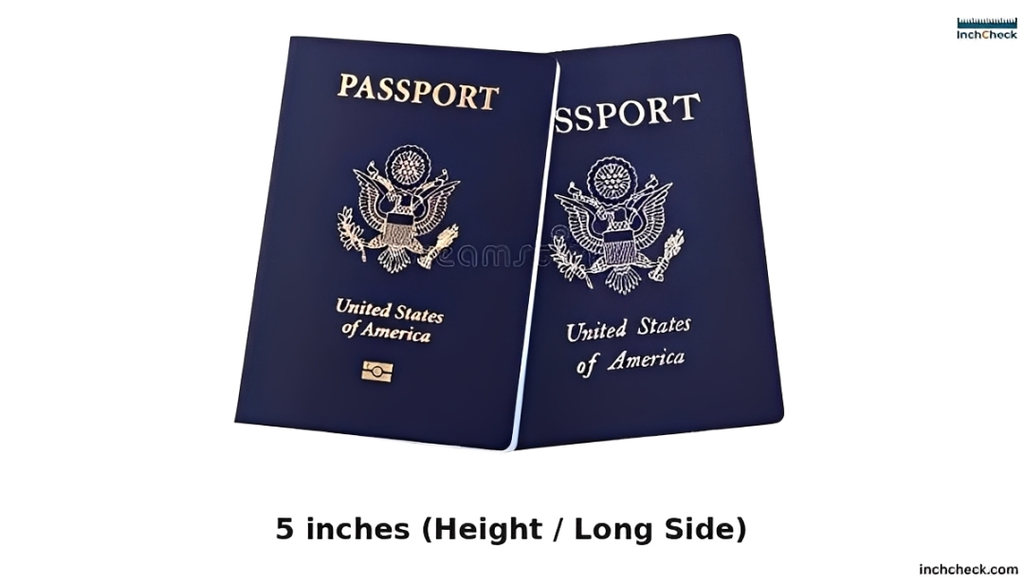 How Big Is 5 Inches Visually?