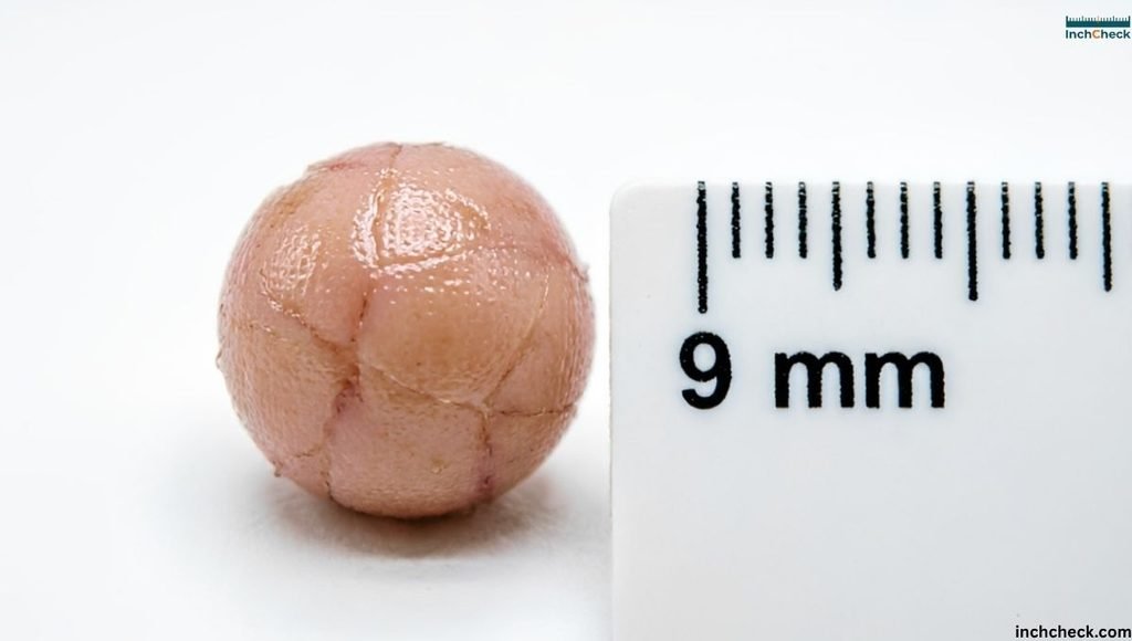 How Big Is 9mm Nodule?