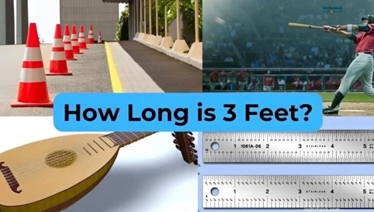 How Long Is 3 Feet, Explained Simply