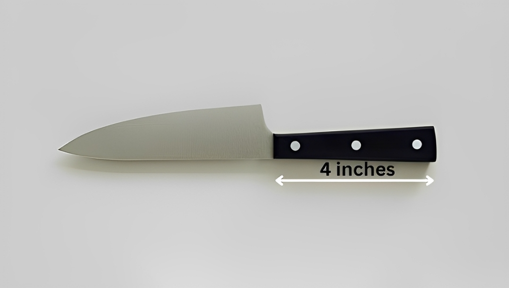 What Does 4 Inches Look Like?