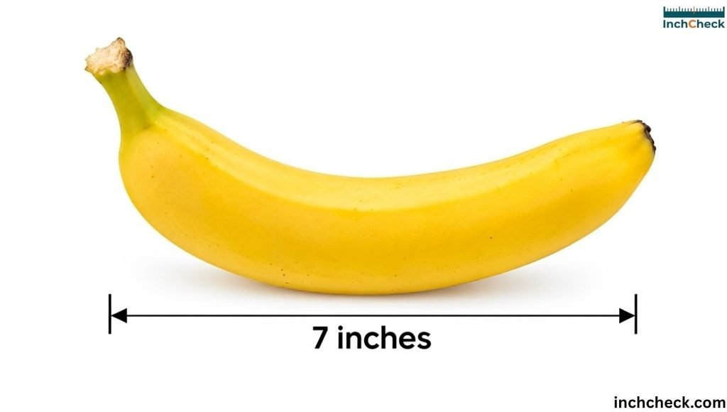 7 inches Banana