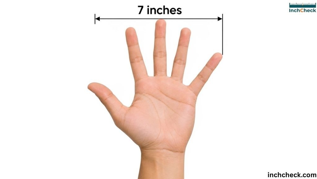 Hand Span