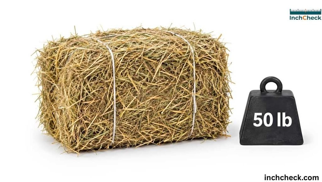 weighs 50 pounds Small Bale of Hay